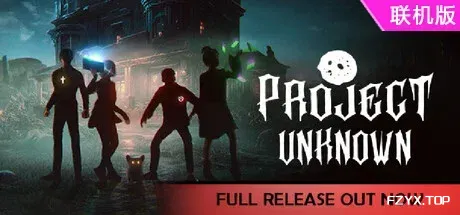 未知项目/Project Unknown/支持网络联机