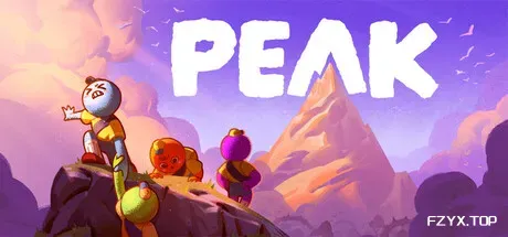 巅峰/PEAK/支持网络联机